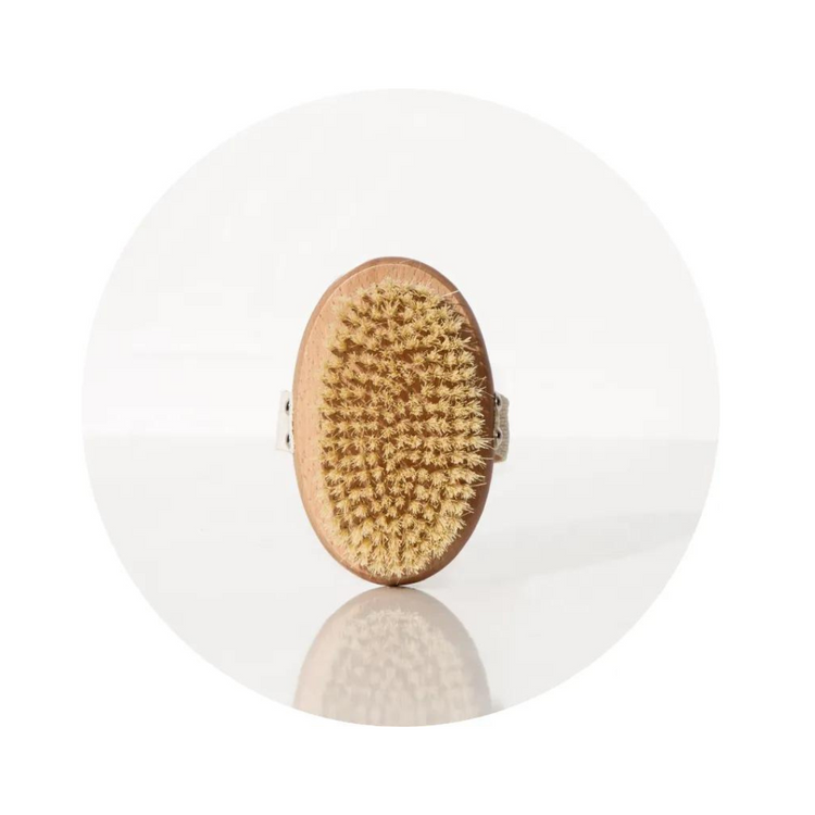 Pop Neutral Dry Body Brush (Natural Cactus)