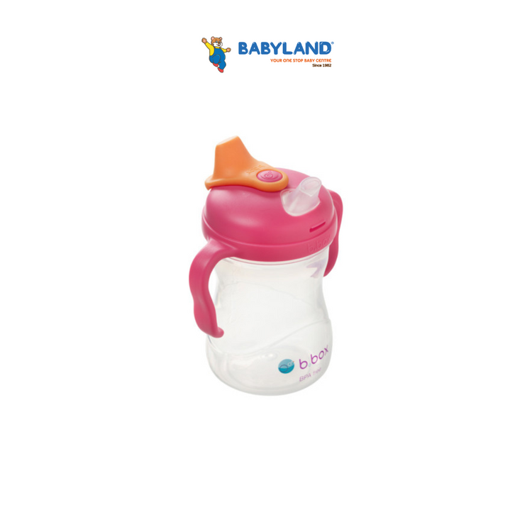 B.Box Spout Cup 8OZ - 4m+