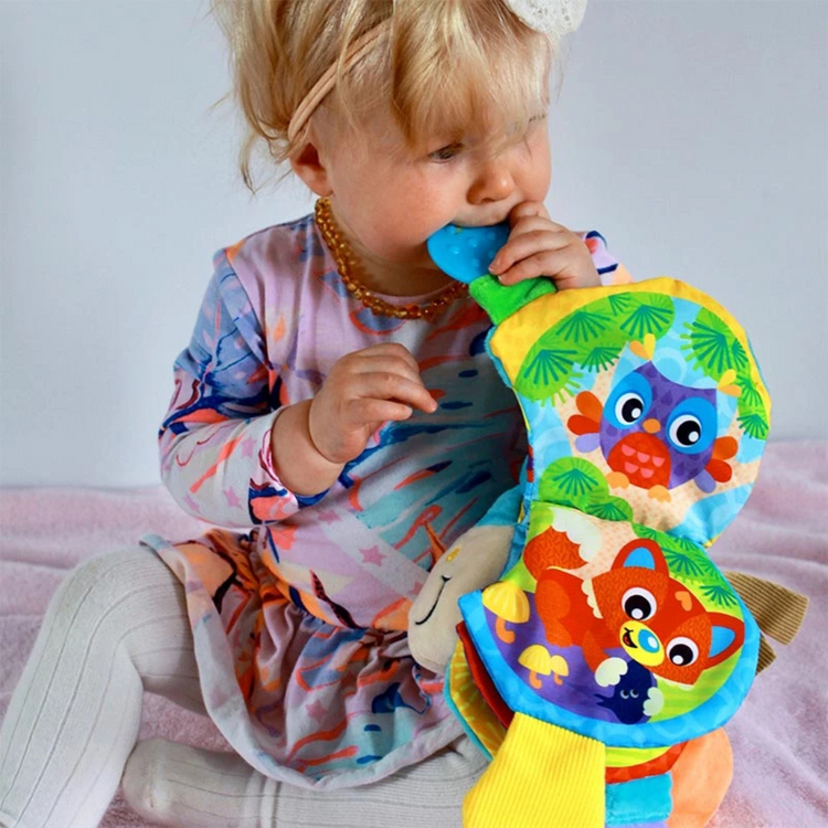 Playgro Musical Clip Clop Teether Book (3m+)