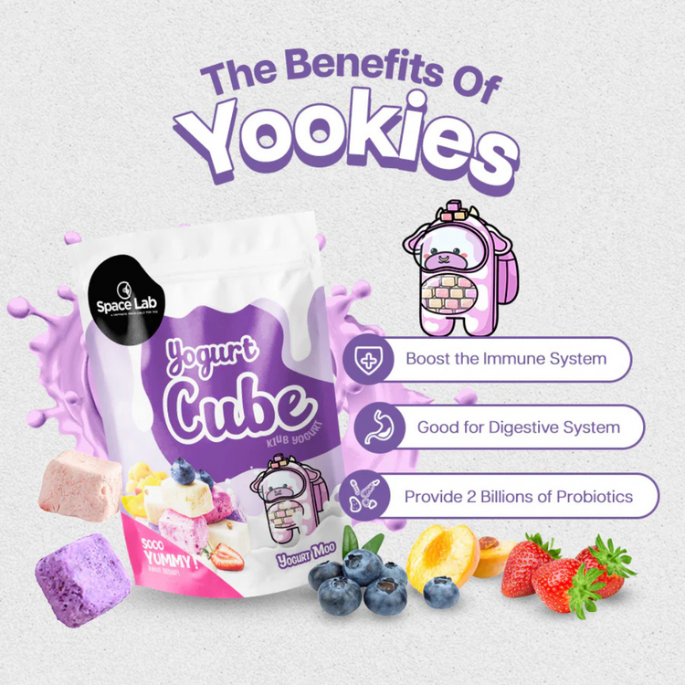 Space Lab Freeze Dried Yogurt Cookies 26g