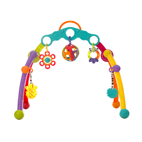 Playgro 0185475 Fold & Go Playgym (0m+)