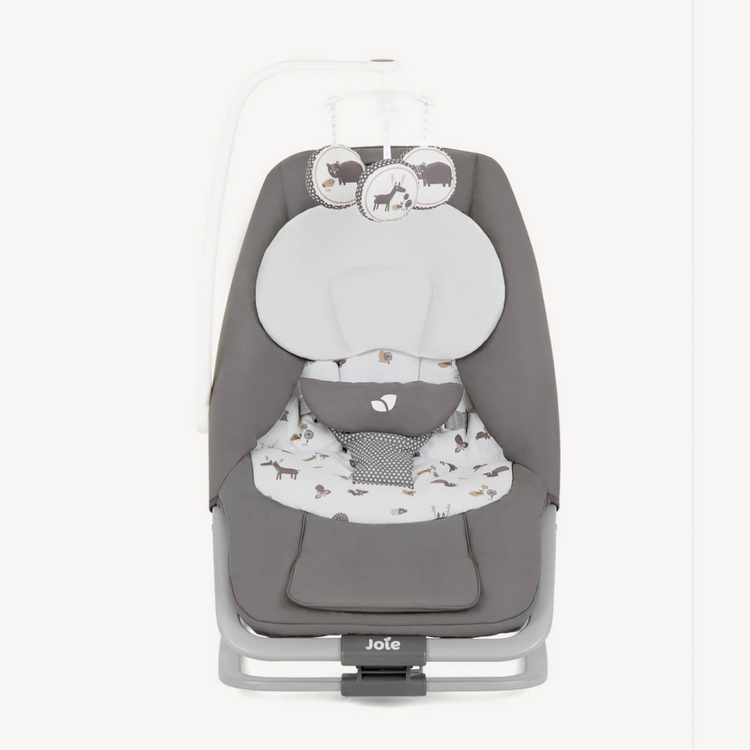 Joie Dreamer Soother Rocker & Bouncer (Birth to 13kg)