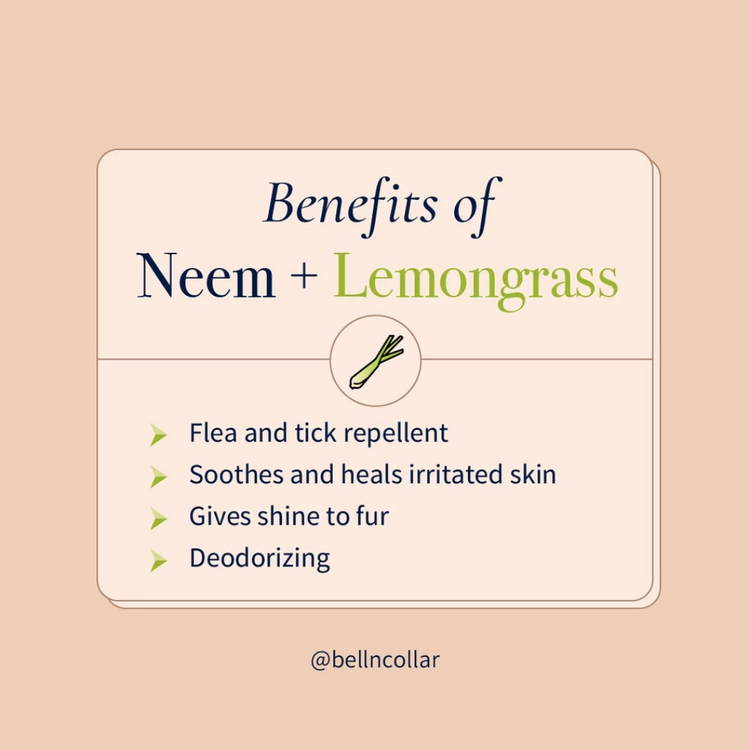 Bell & Collar Neem + Lemongrass natural pet shampoo 350ml : Anti-bacterial and soothes irritated skin.