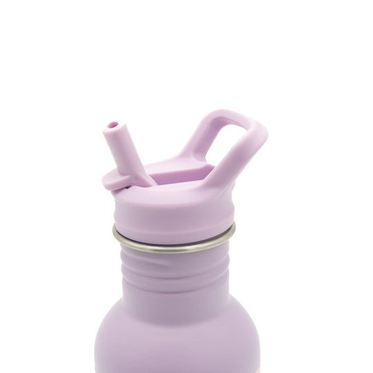 Sassi Stainless Steel Bottle 500ml - Unicorn