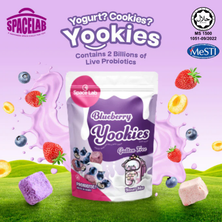 Space Lab Freeze Dried Yogurt Cookies 26g