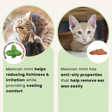 Translation missing: ms.sections.featured_product.gallery_thumbnail_alt
