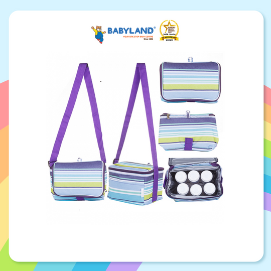 Autumnz Fun Foldaway Cooler Bag (Roman Stripes)