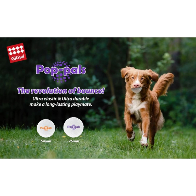 GiGwi Pop-pals E-TPU Ball Dog Toy