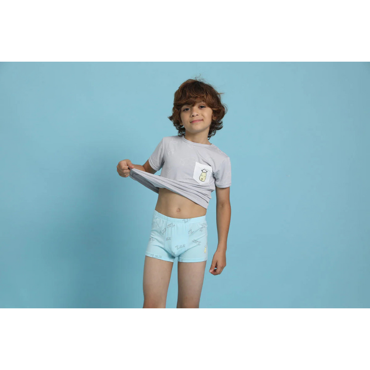 Baa Baa Sheepz Boys Boxer C011-B (3pcs) ( 3-4 years )