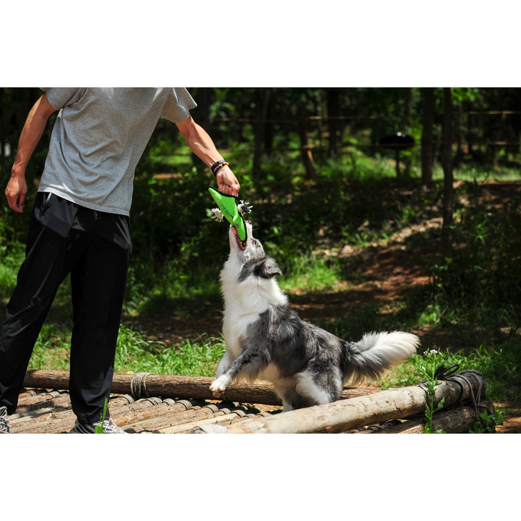 V-Pet Rough & Tough Toys - Welcome to the Jungle - Alligator M