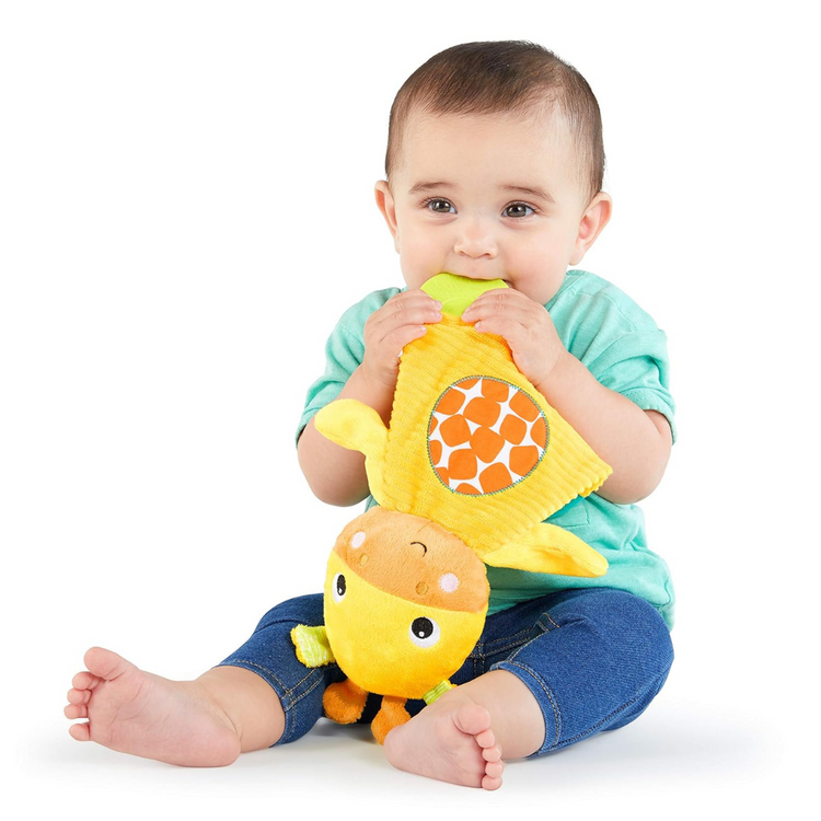 Bright Starts Snuggle & Teethe Plush Teether Toy Giraffe (0m+)