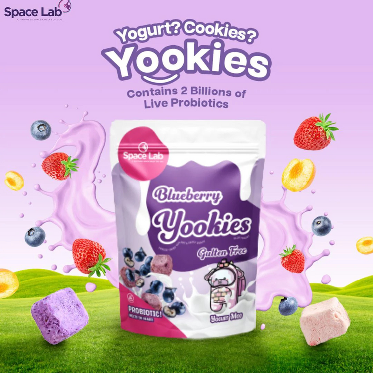 Space Lab Freeze Dried Yogurt Cookies 26g