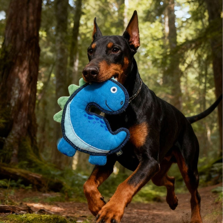 V-Pet Rough & Tough Toys - Jurassic Echo - Brachiosaurus-Blue M