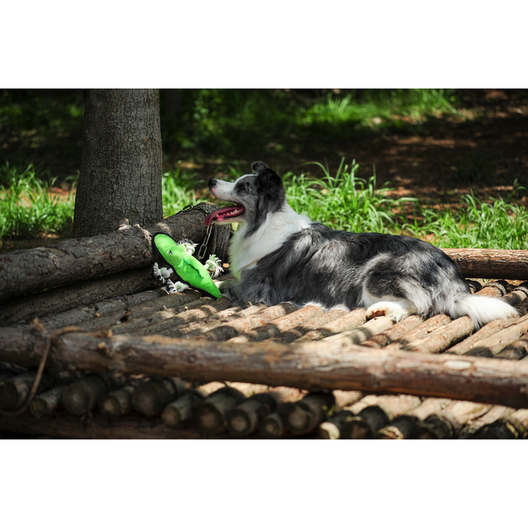 V-Pet Rough & Tough Toys - Welcome to the Jungle - Alligator M