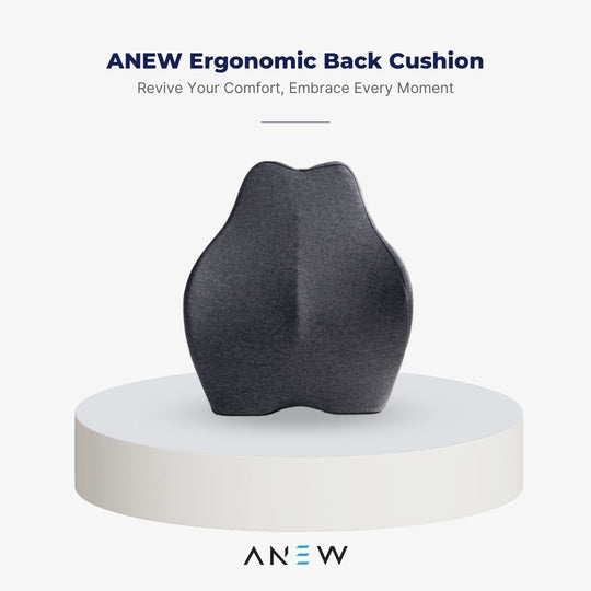 ANEW Ergonomic Back Cushion