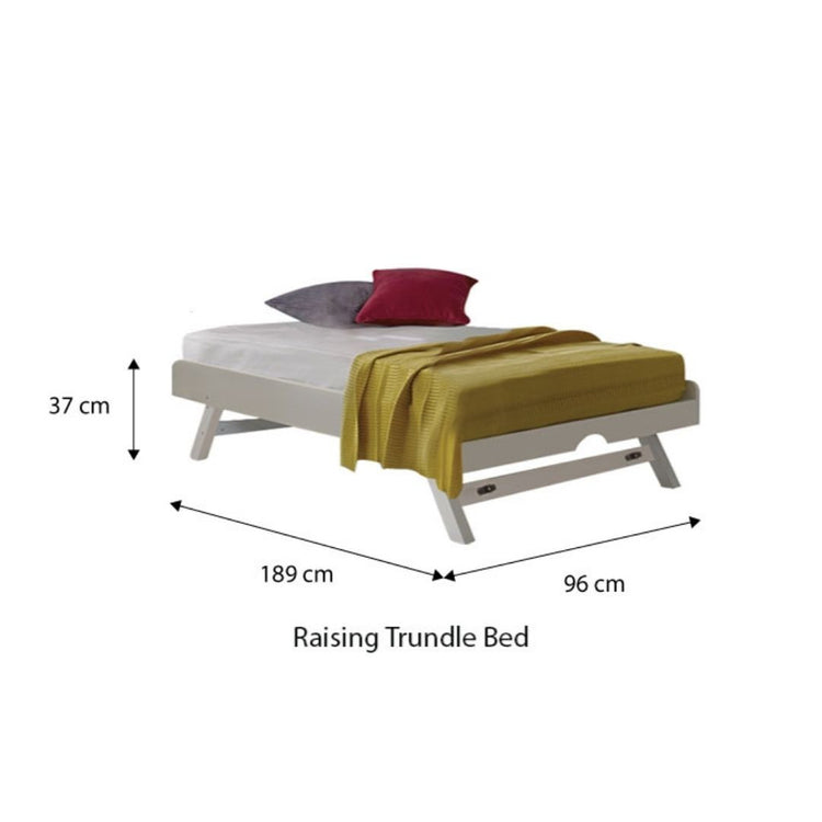 [Pre-Order] Snoozeland Holly Bedframe with Pull Out Single Raising Bed